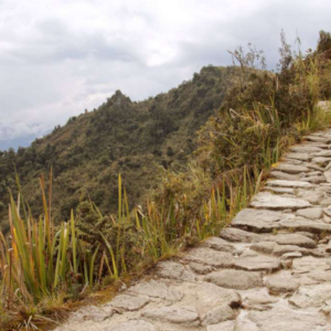 Camino Inca 2 Días / 1 Noches