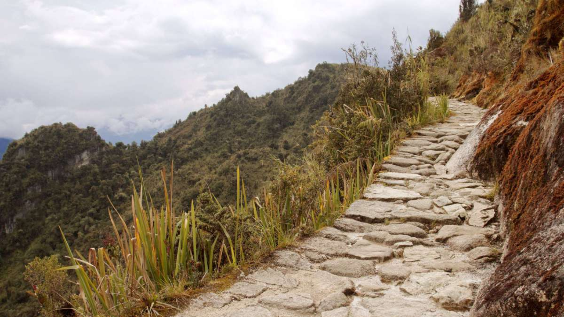 Camino Inca 2 Días / 1 Noches