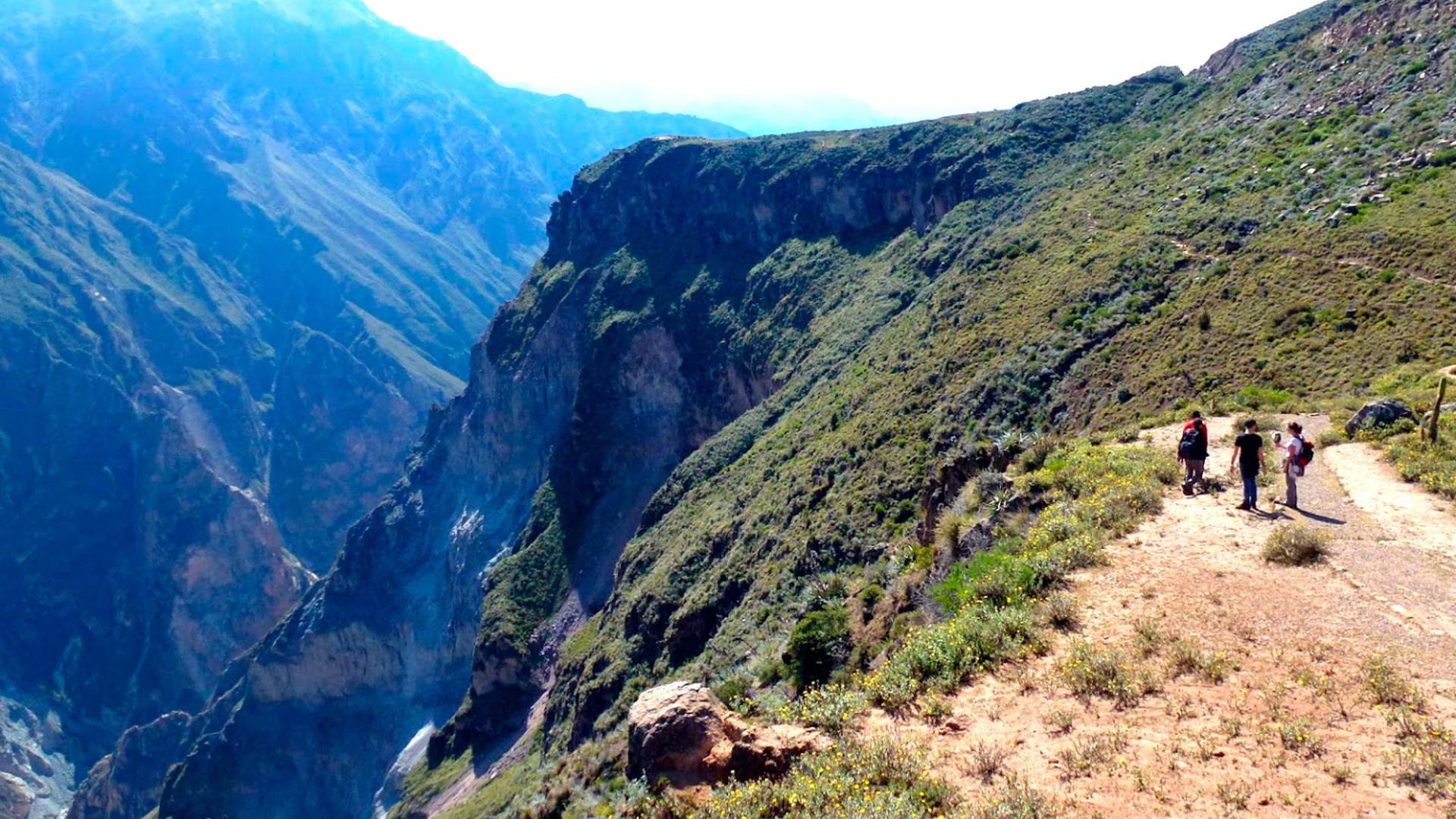 Cañón del Colca 2 Días / 1 Noche